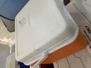 26L High Quality Cooler Box
