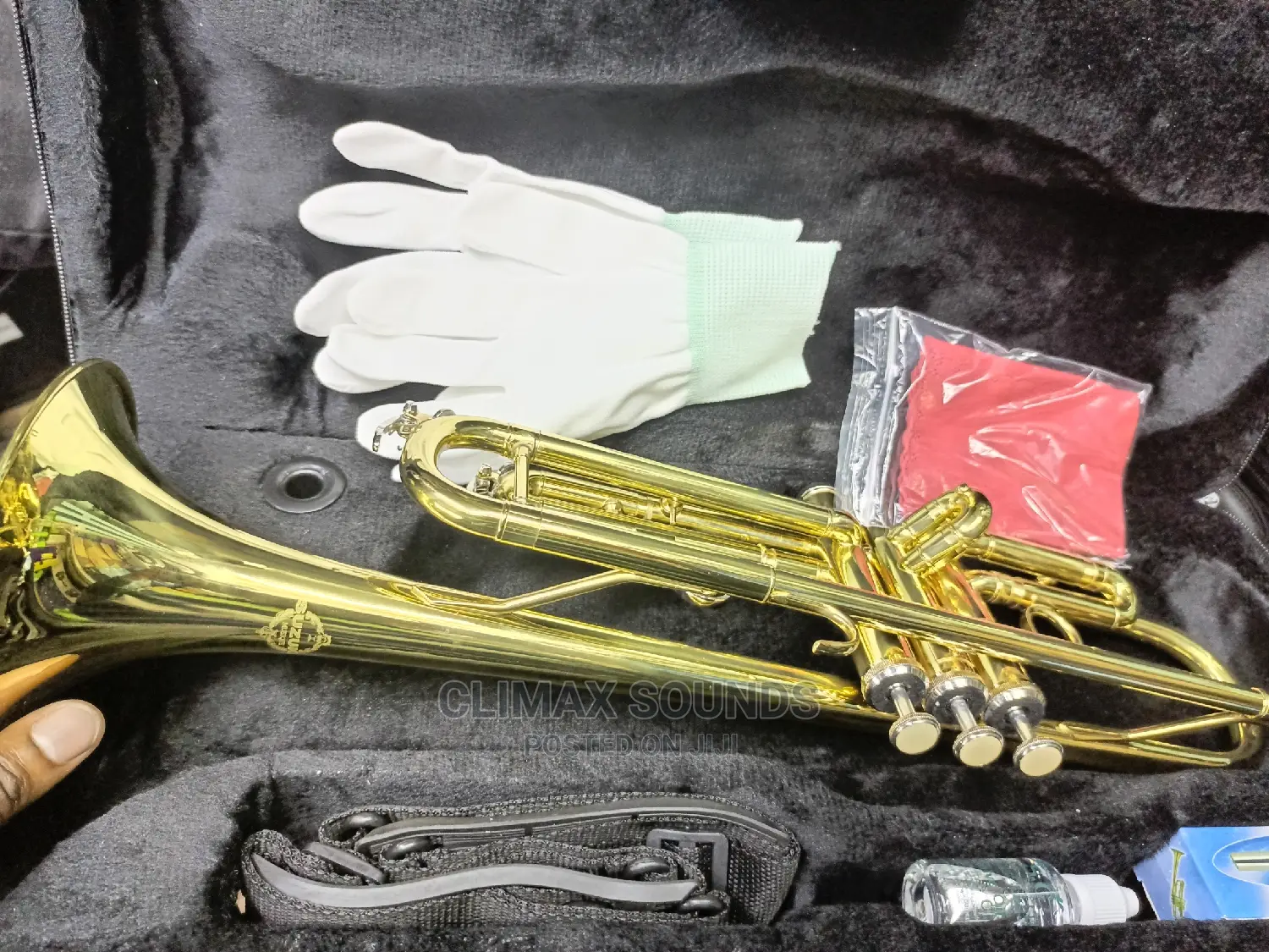 Suzuki Trumpet Gold