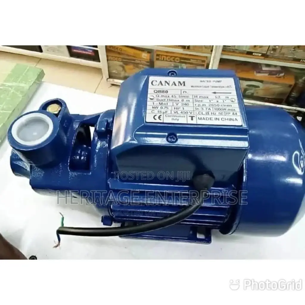 Pedrollo Booster Pkm 60 Water Pump Blue