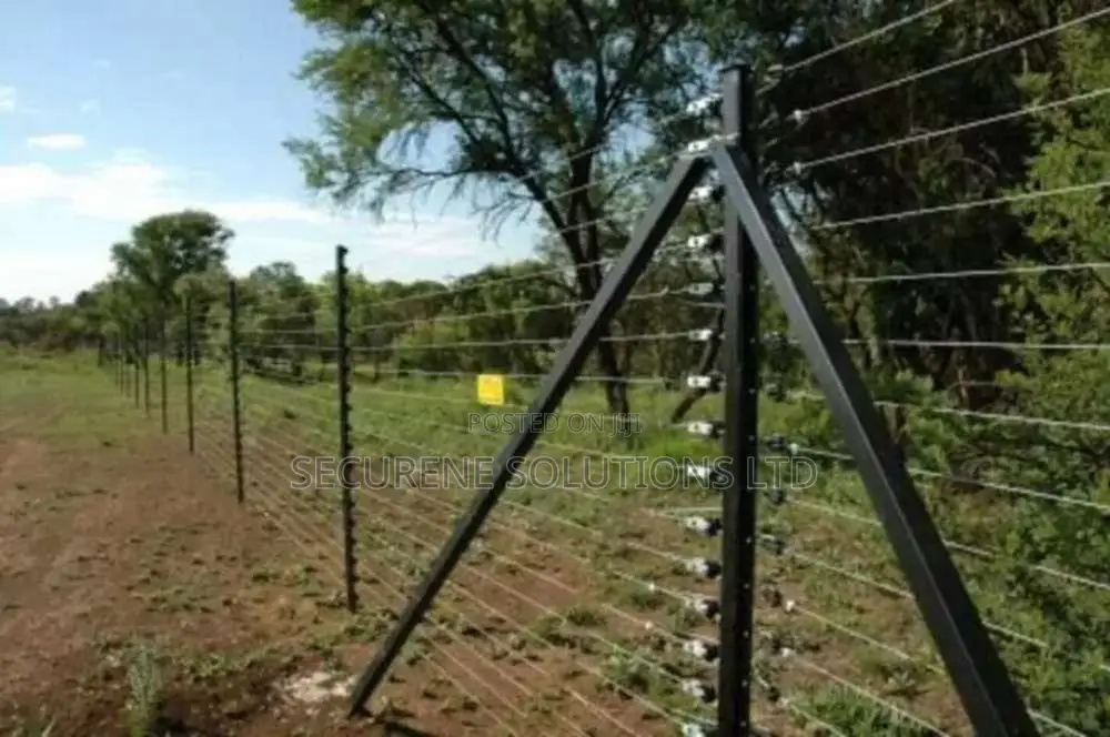 Standalone Electric Fence On Poles