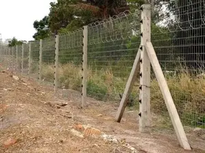Standalone Electric Fence On Poles