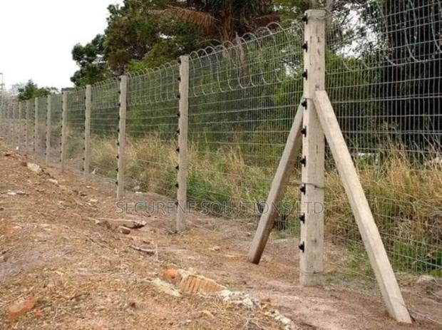 Standalone Electric Fence On Poles - thumbnail 2