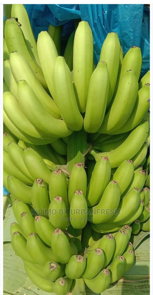 Dual Purpose Banana Suckers. Moq5