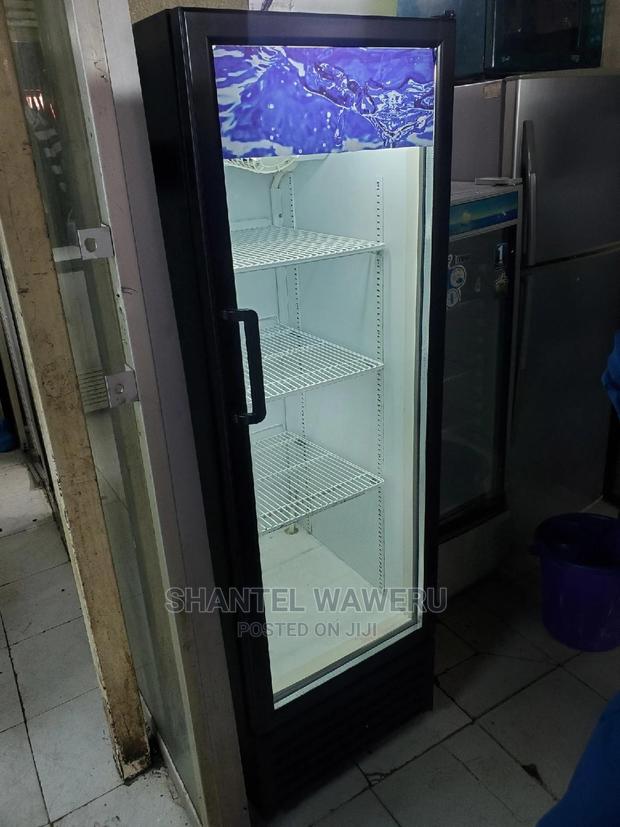 Display Fridge 300litres - main view