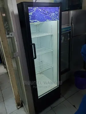 Display Fridge 300litres
