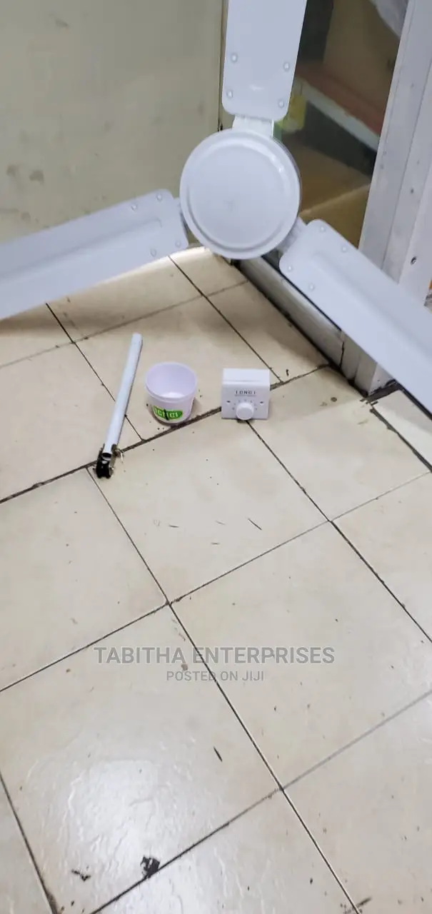Ceiling Fan 