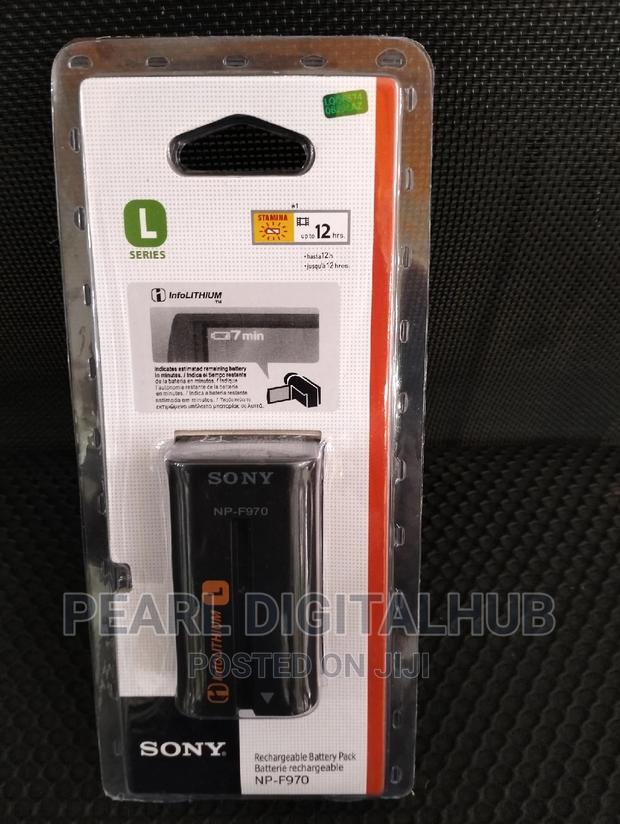 Sony L Np F970 Battery