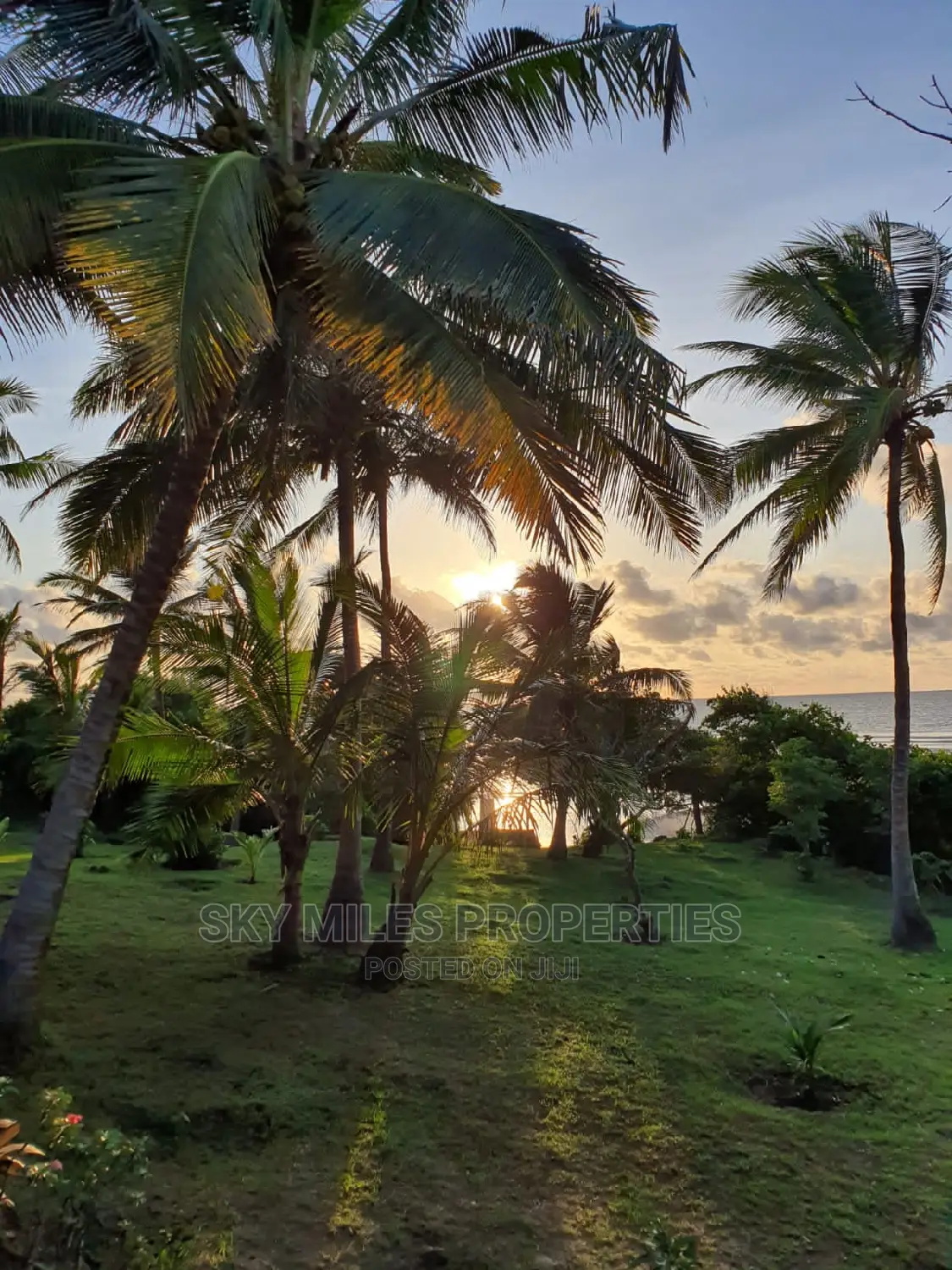 Msambweni Beach Villa Available for Holiday Bookings