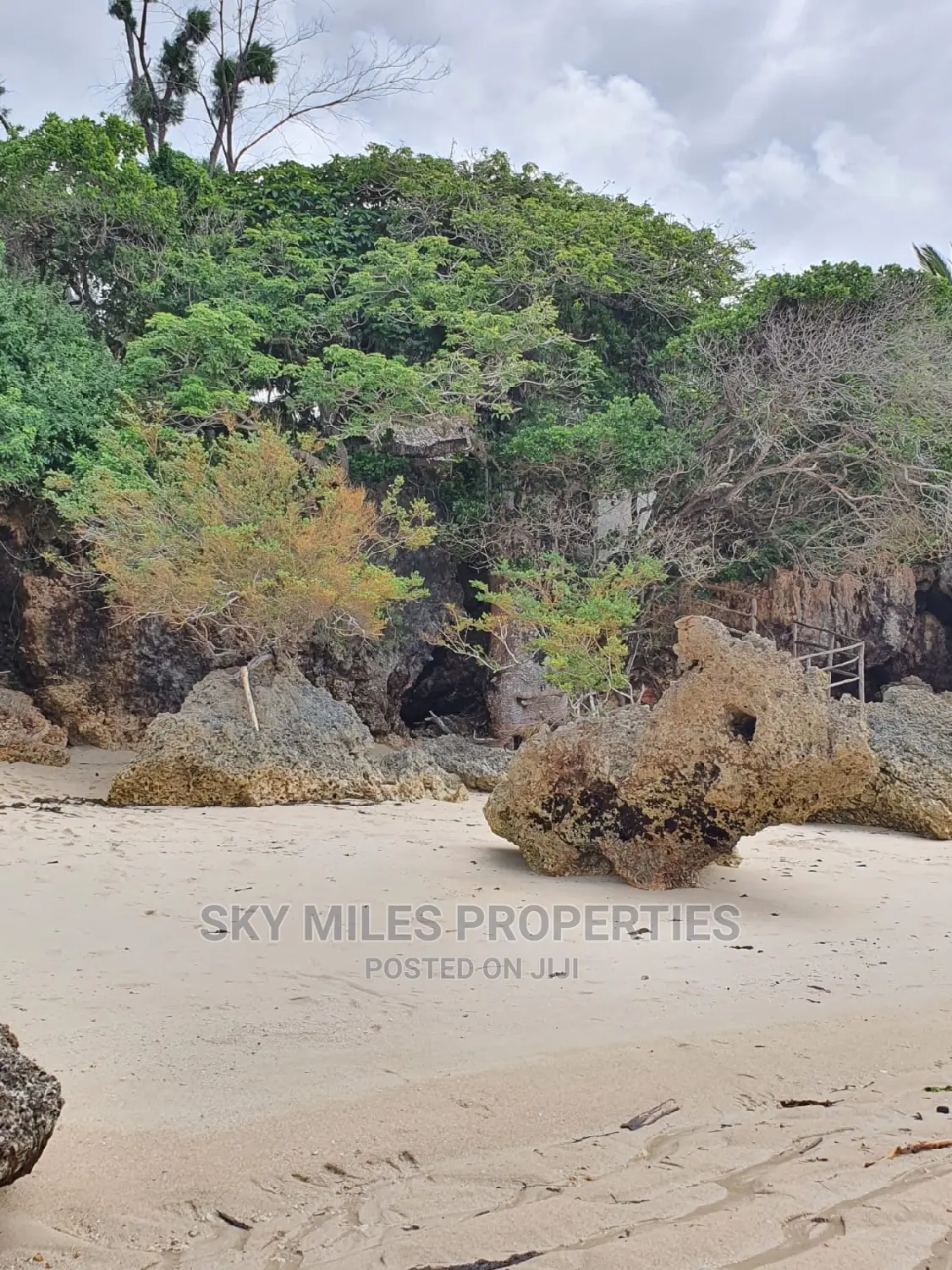Msambweni Beach Villa Available for Holiday Bookings