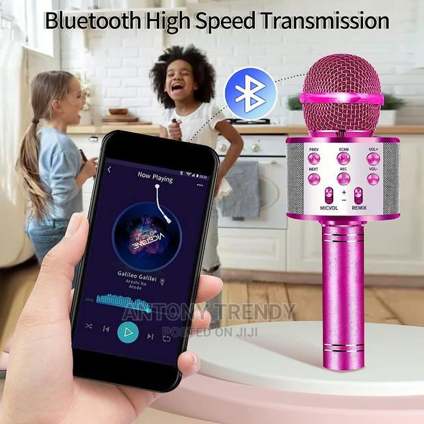 Wireless Portable Karaoke Microphone - main view