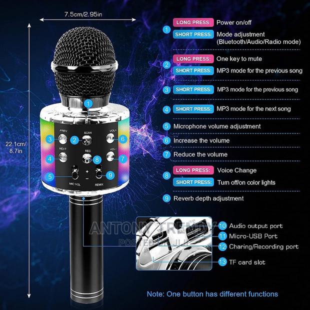 Chenan Wireless Bluetooth Karaoke Microphone