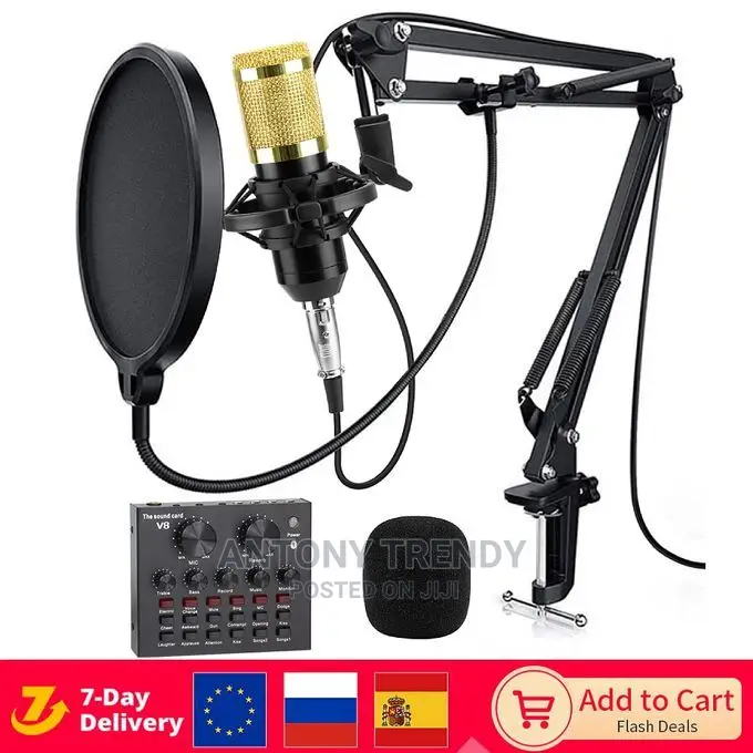 Bm800 Condenser Microphone Professional Voice Record