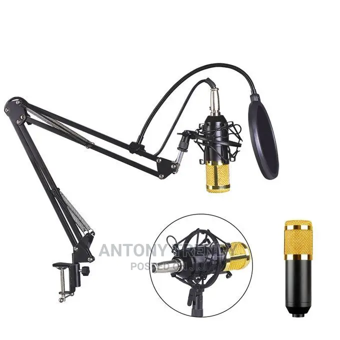 Bm800 Condenser Microphone Professional Voice Record