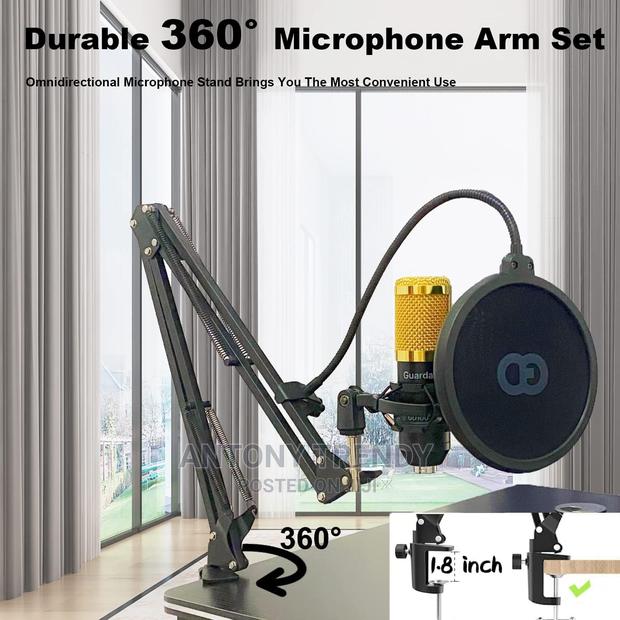 Professional Voice Recording Microphone for Phone - main view