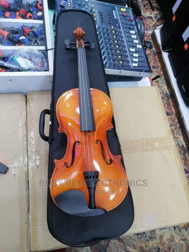 Professional Violin All Sizes - main view