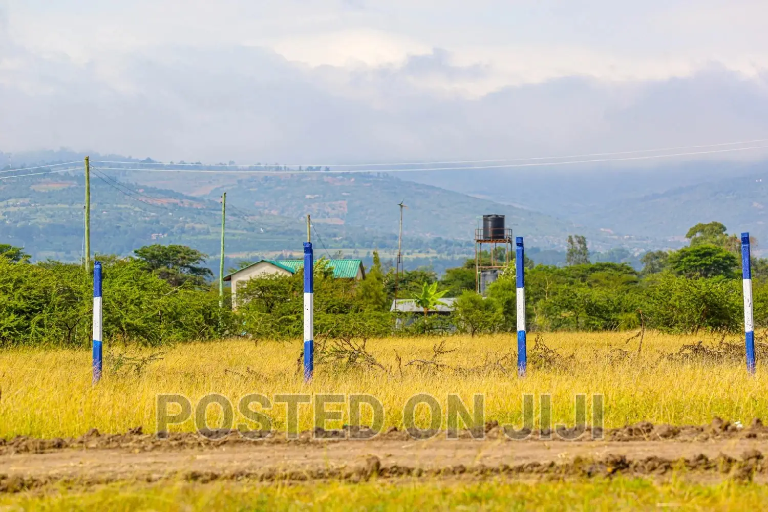 Affordable Plots in Koma ^SM