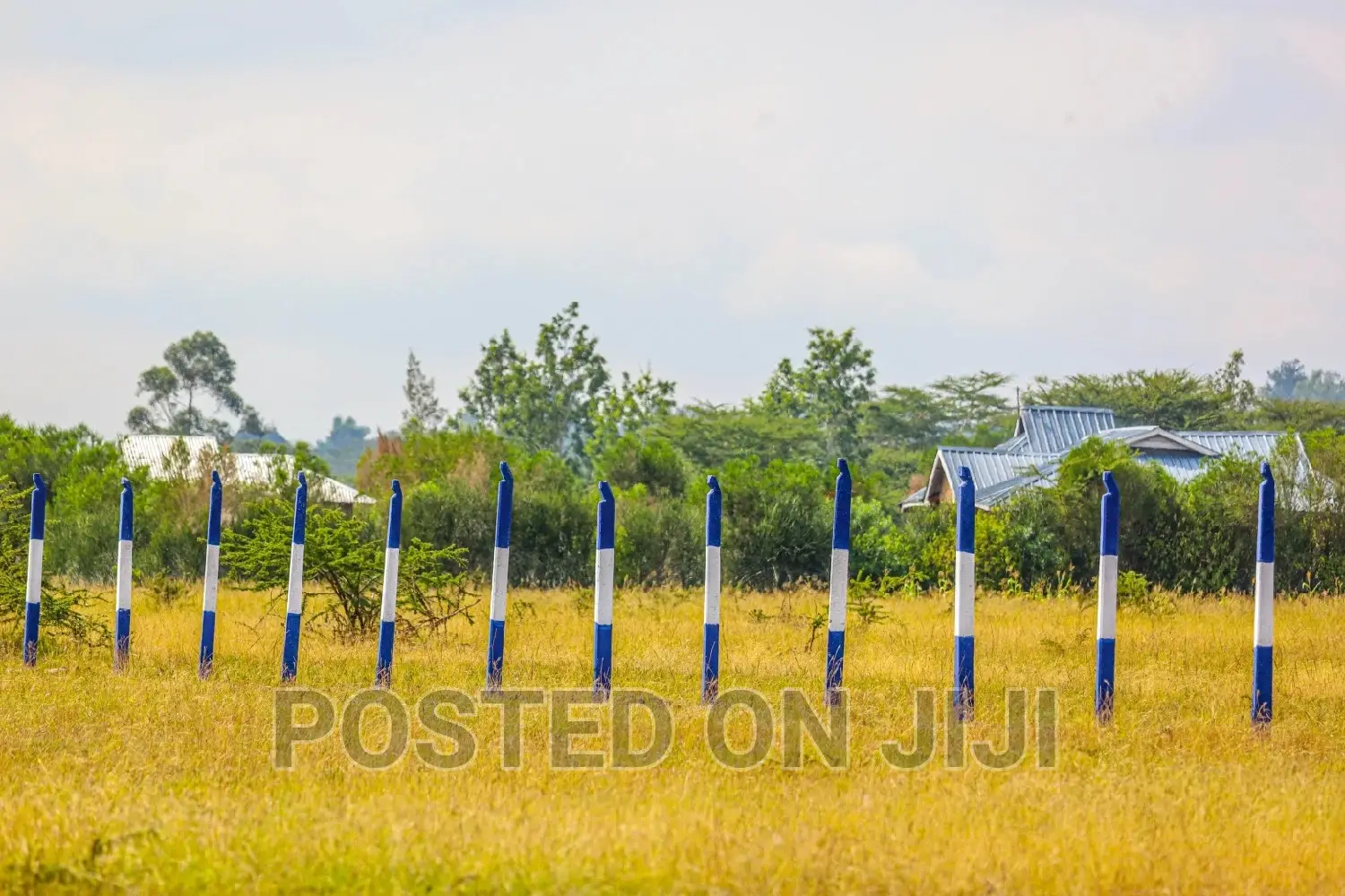 Affordable Plots in Koma ^SM