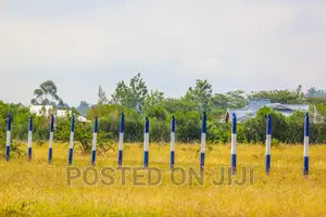 Affordable Plots in Koma ^SM
