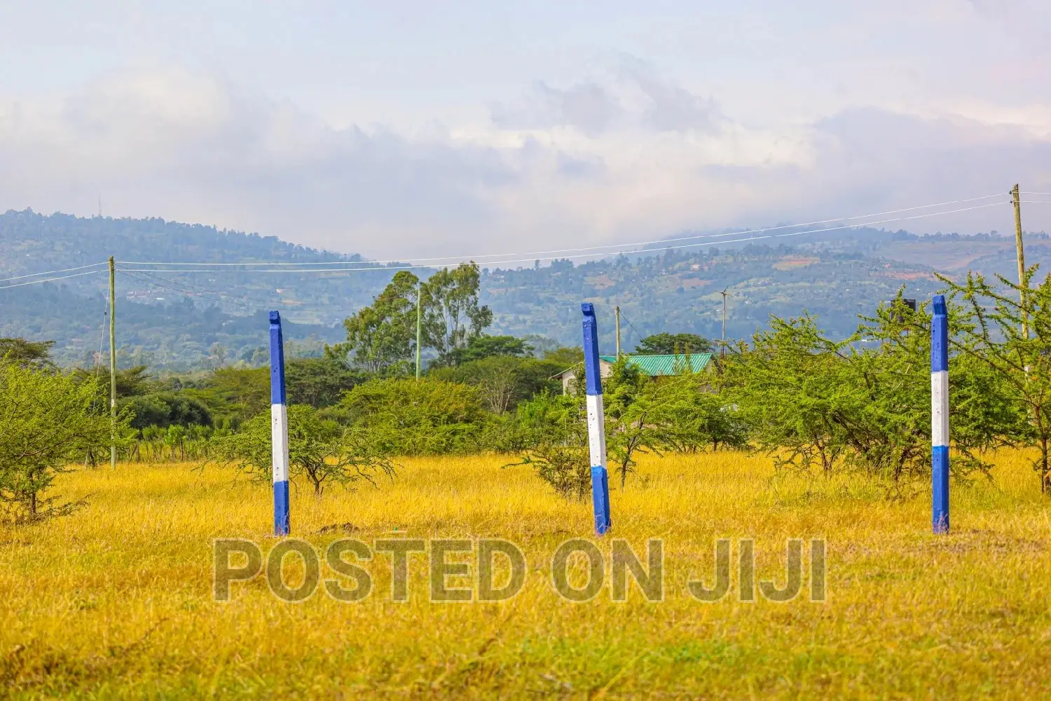 Affordable Plots in Koma ^SM