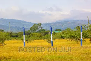 Affordable Plots in Koma ^SM