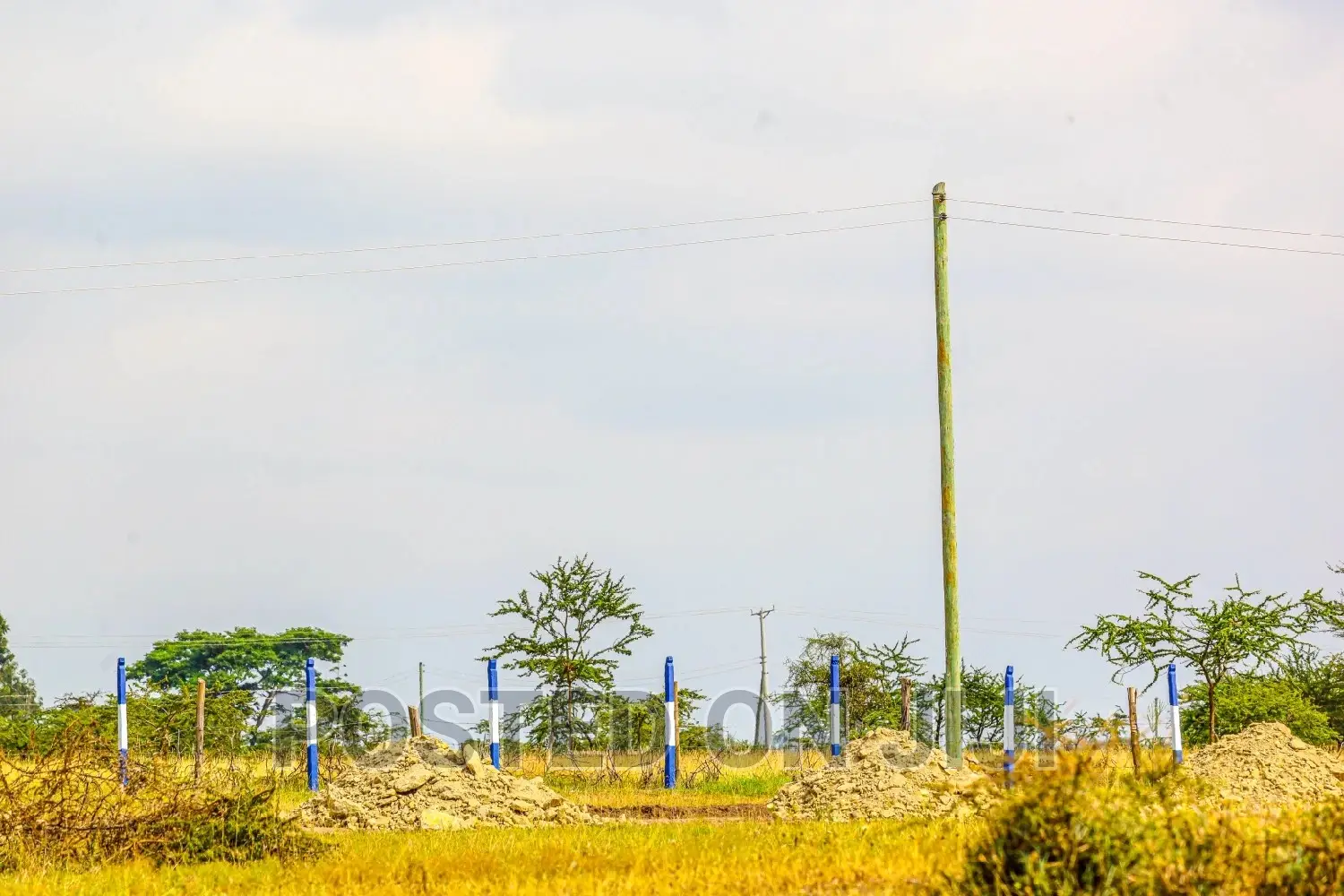 Affordable Plots in Koma ^SM