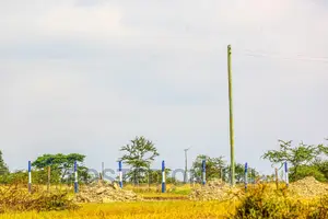 Affordable Plots in Koma ^SM