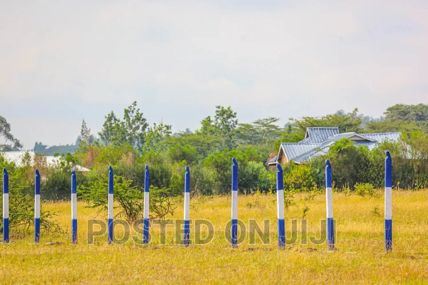 Affordable Plots in Koma ^SM