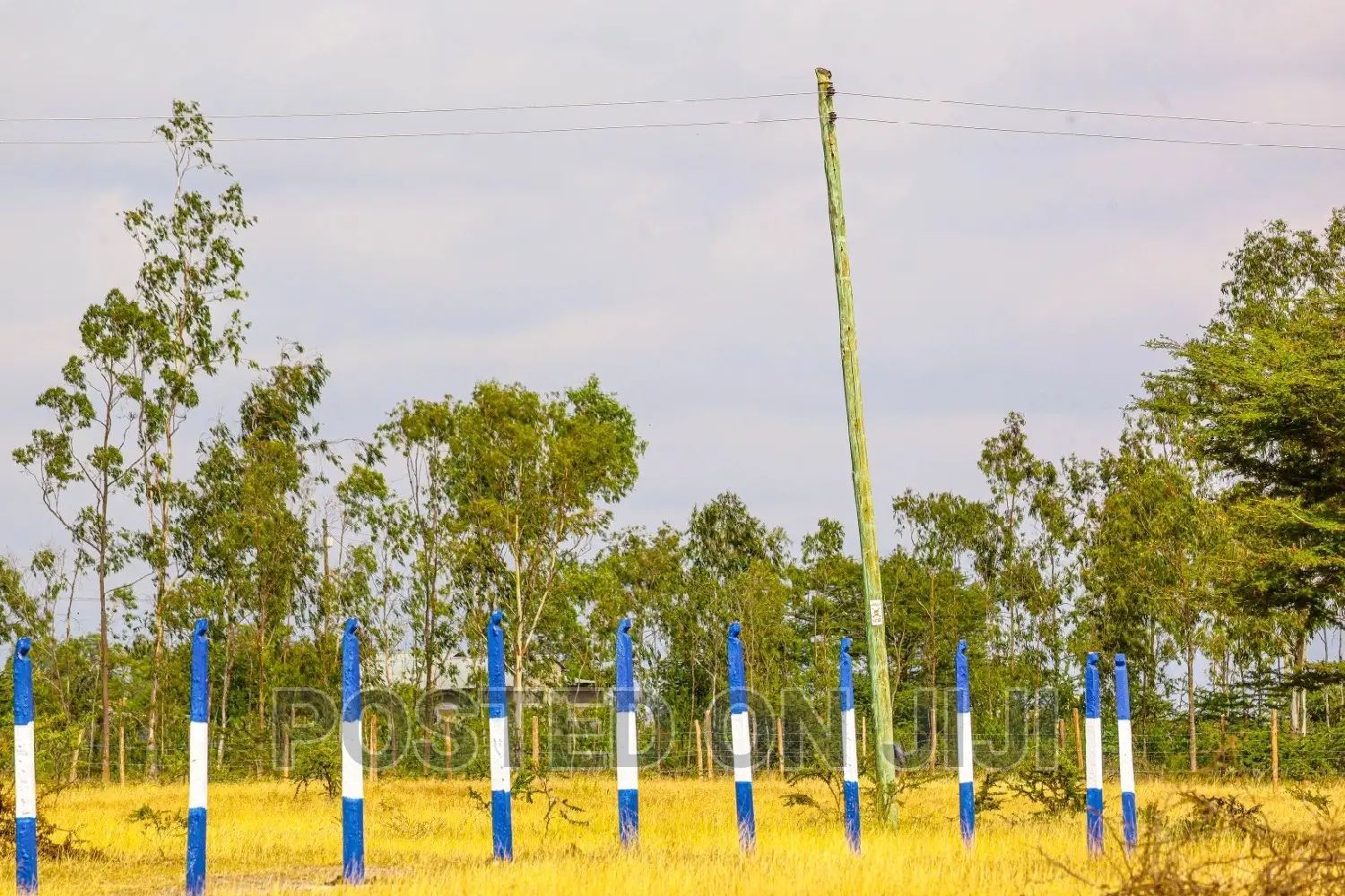 Affordable Plots in Koma ^SM