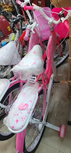 Pink Bike Size 20 Good for Young Girls