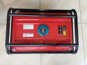 3000W Generator