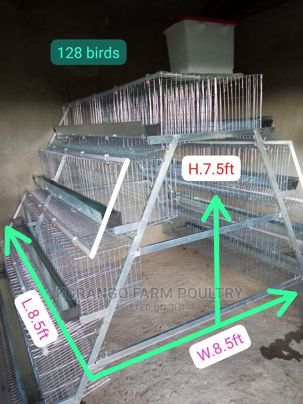 Chicken Cage