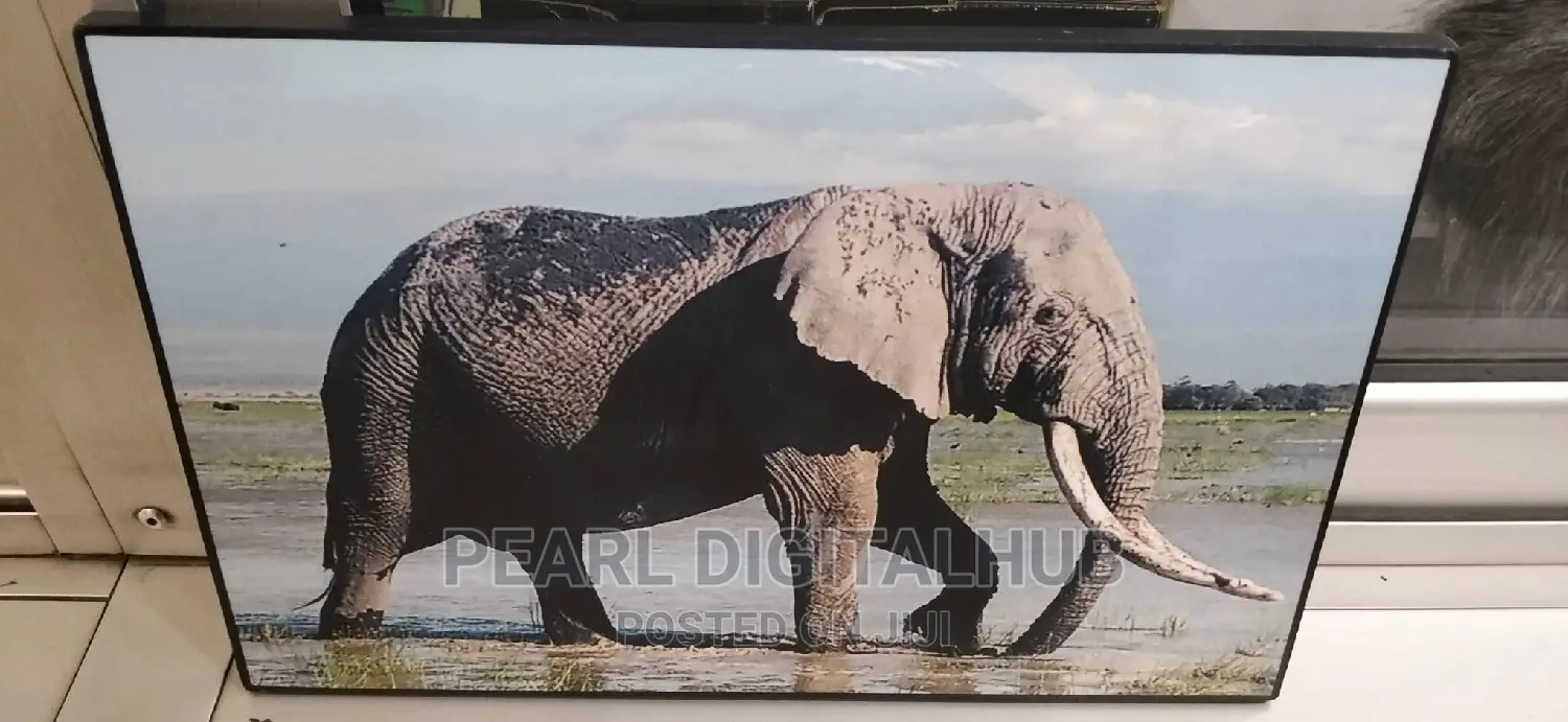 A4 Size Digital Photo Mount