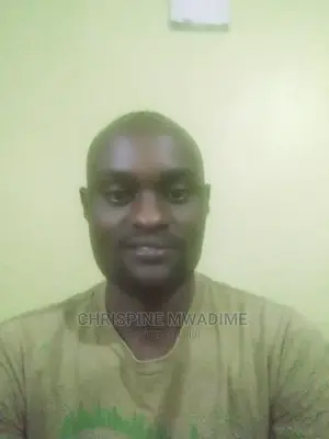 Security System Technician