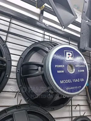 NR BM AZ-5A 15 Inch Naked Speaker