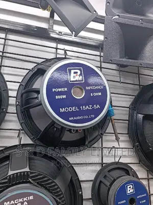 NR BM AZ-5A 15 Inch Naked Speaker