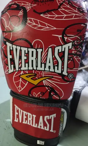 2 Boxing Leather Everlast Gloves