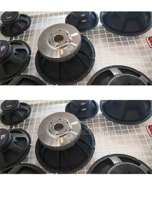 15inch Naked Speaker 800w