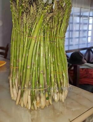 Asparagus Vegetable Seedling Moq 30. - thumbnail 2