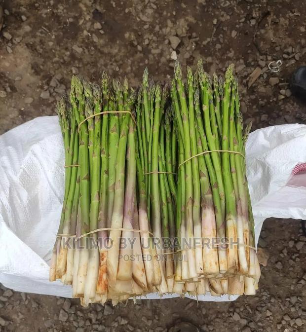 Asparagus Vegetable Seedling Moq 30. - thumbnail 3