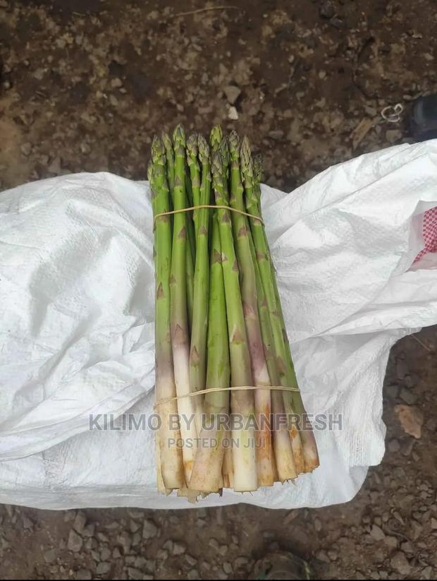 Asparagus Vegetable Seedling Moq 30. - thumbnail 4