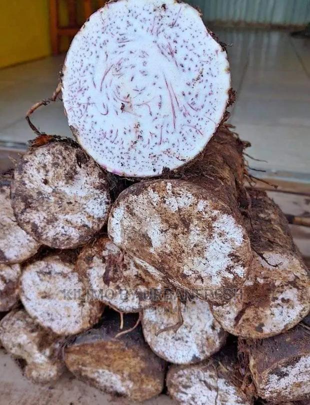 Arrowroots Suckers 100 Cuttings - thumbnail 4