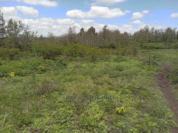 1.21 Acre Matasia Land for Sale - thumbnail 5