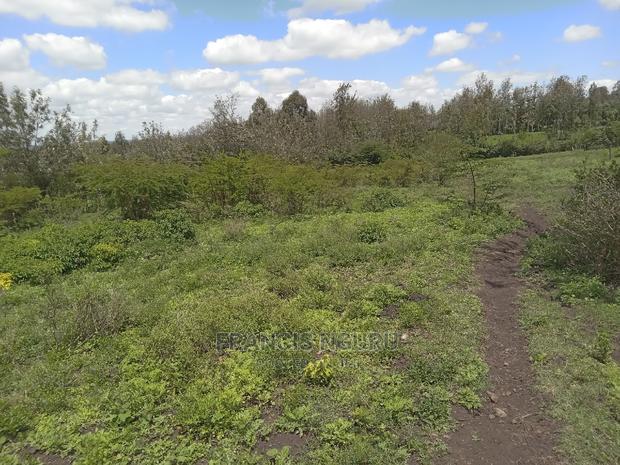 1.21 Acre Matasia Land for Sale - thumbnail 6