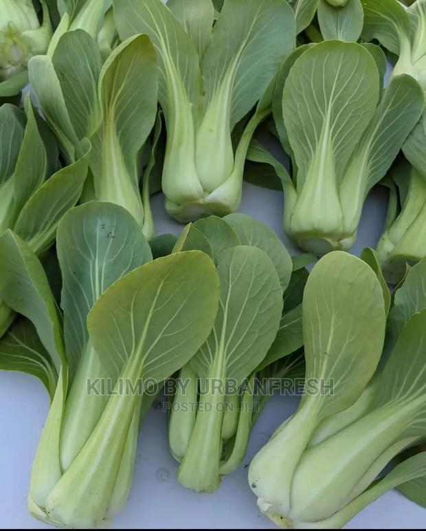 Bok Choy/Pak Choi Vegetable Seedling Moq100 - thumbnail 4