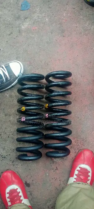 Toyota Prado Heavy Duty Springs