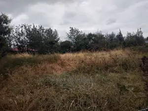 Prime Upper Valley Plot