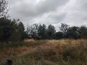 Prime Upper Valley Plot