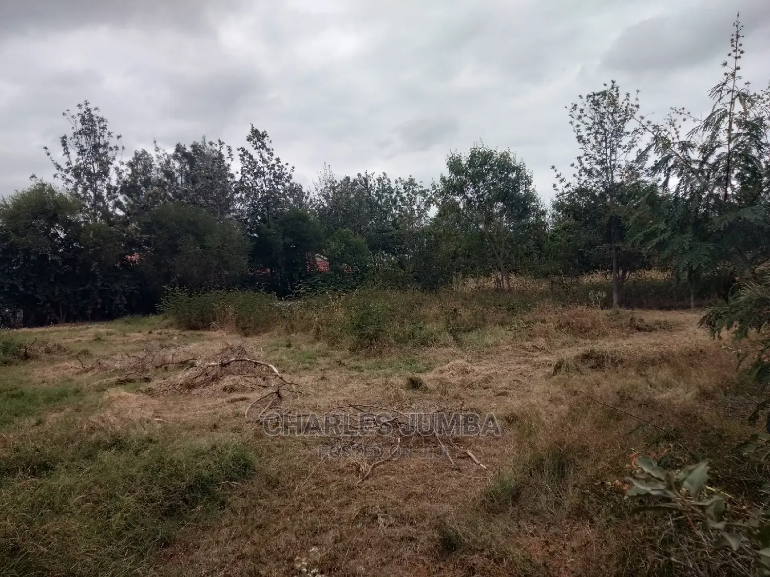 Prime Upper Valley Plot