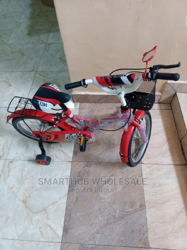 Size 16 Lion King Bike - main view