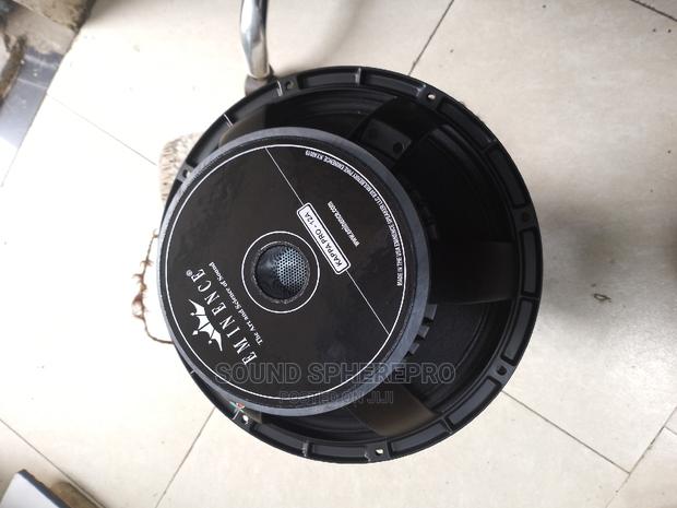 Kappa Pro 12 Naked Speaker